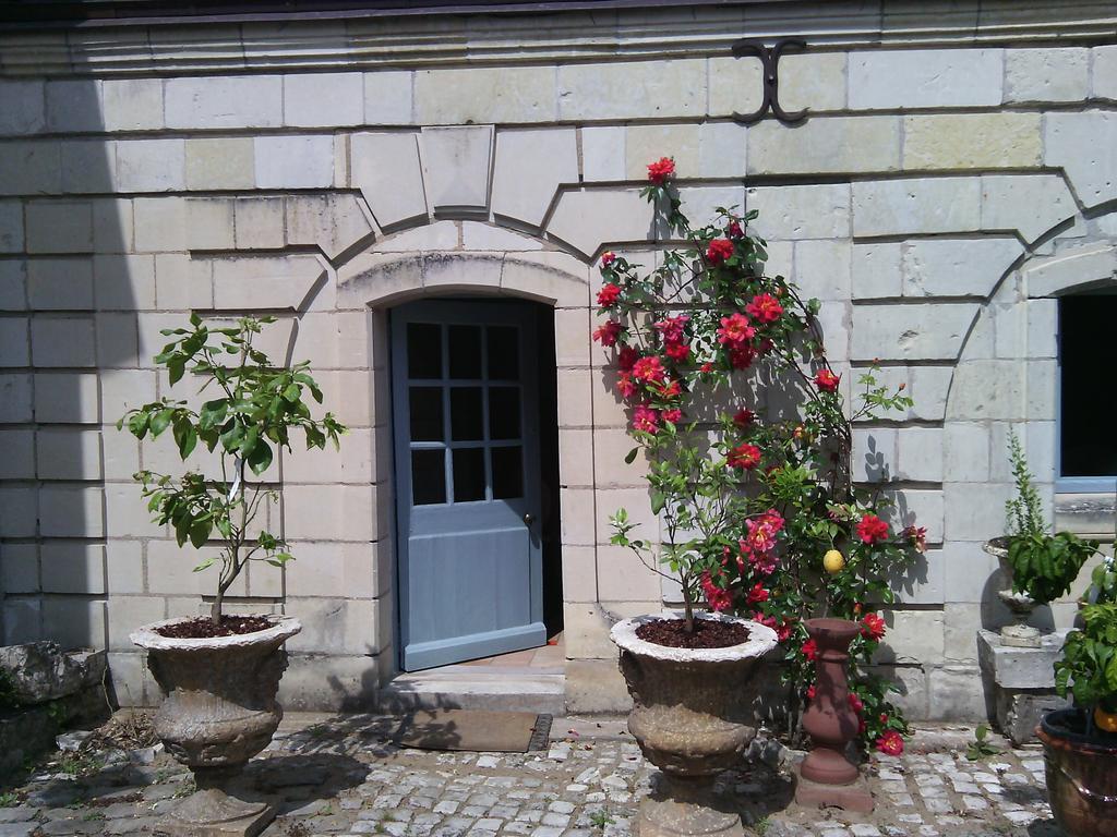 Les Douves Bed and Breakfast Onzain Esterno foto
